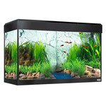 FLUVAL Roma Aquário + Móvel c/ LED 125L