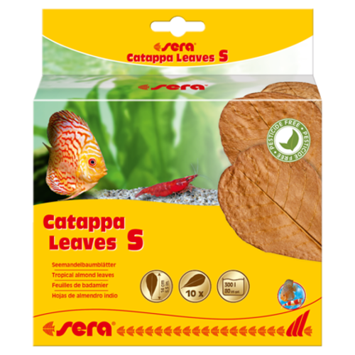 SERA folhas de Catappa S