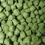 OCEAN NUTRITION Formula Two Pellets Small 100g