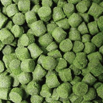 OCEAN NUTRITION Formula Two Pellets Medium 100g