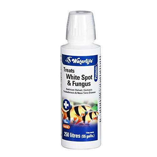 WATERLIFE Protozin 100ml